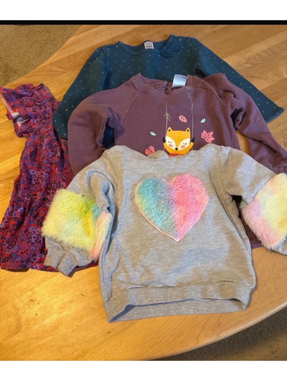 Size 3T fall bundle